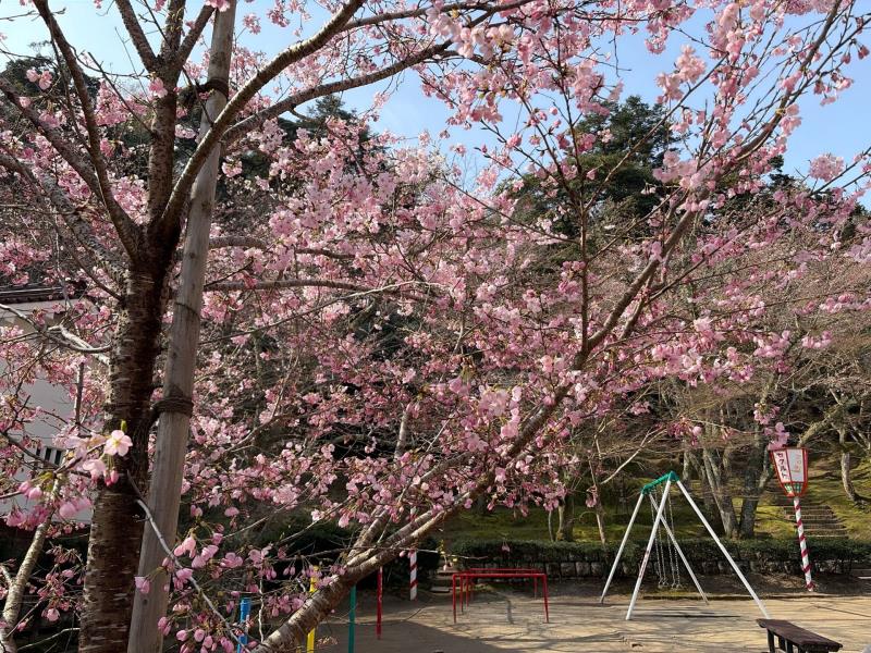 遊具広場前